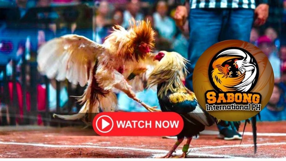 redeem bingo plus points free 100 new register